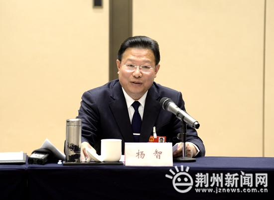 杨智参加洪湖市代表团审议